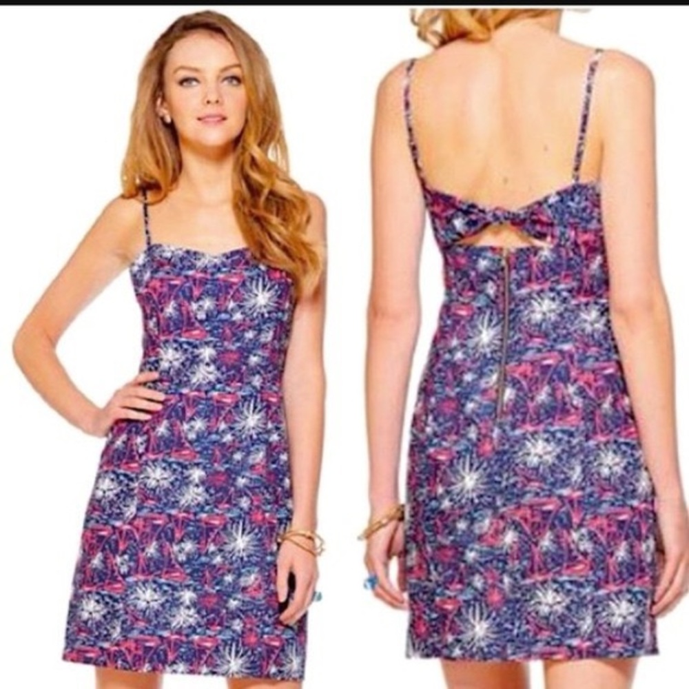 Lilly Pulitzer McCallum Sparks Fly Dress